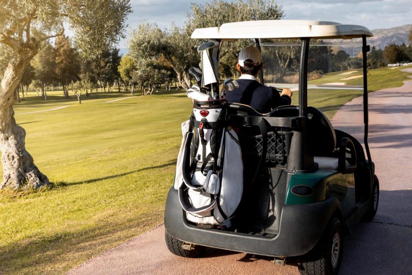 golf cart wheels and tyres